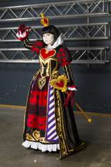 Desucon 2015