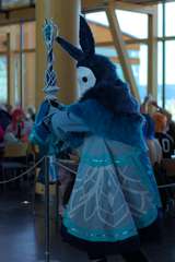 IMG_6266