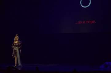 Desucon 2024 » Kuvia ohjelmanumeroista » Cosplaykilpailut