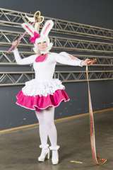 Desucon Frostbite 2015