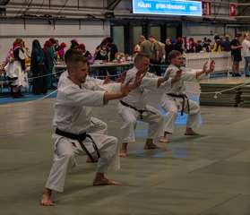 Goju-ryu Karate - Trema