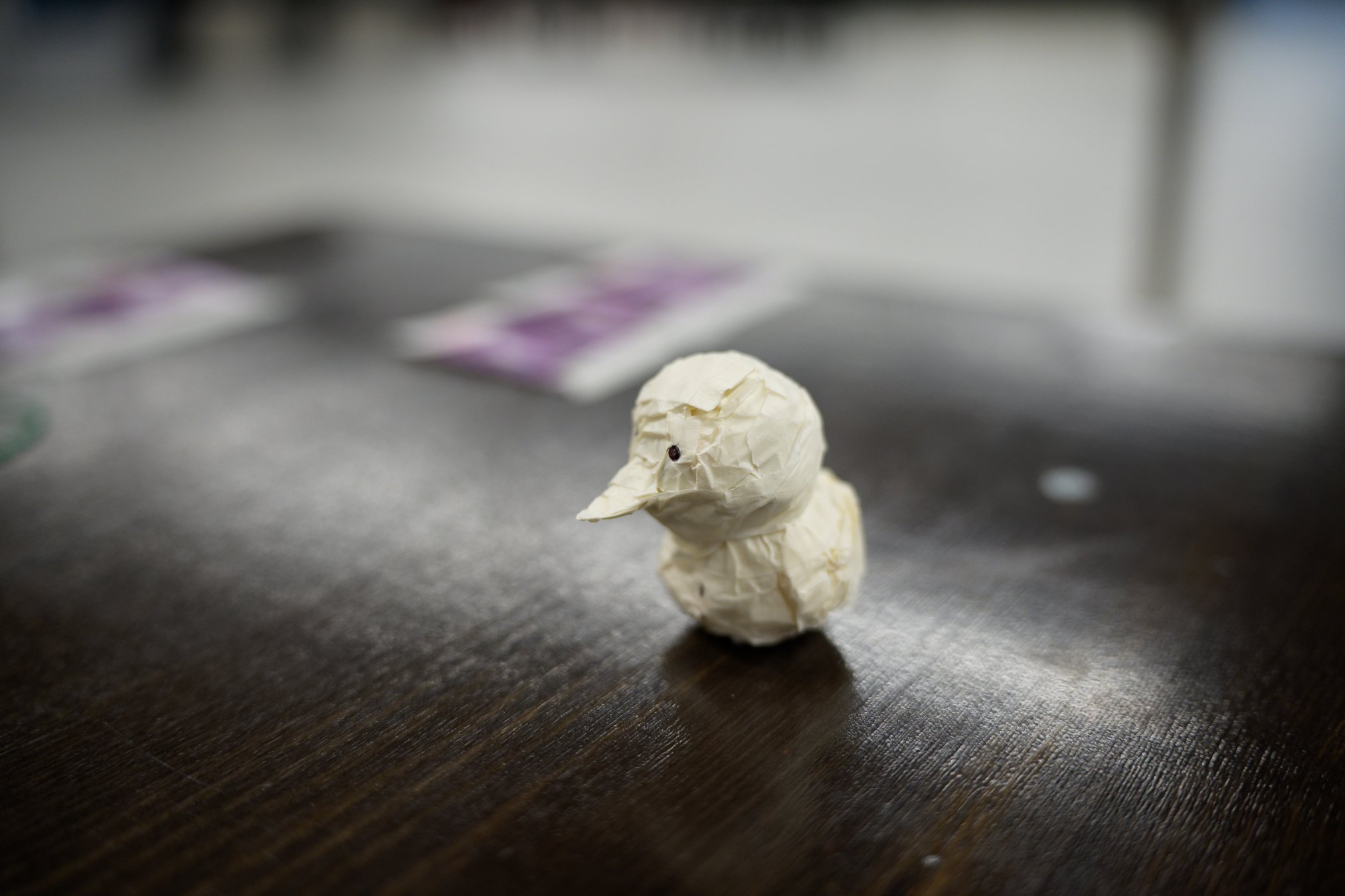 DSC08344_DxO