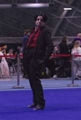 foxwalk13