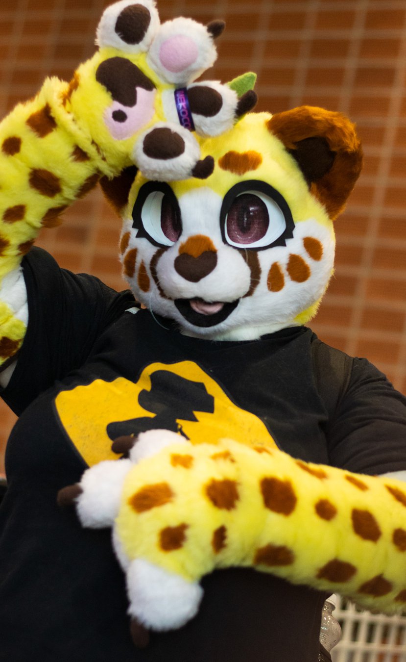 rs_yleikuva_la_nekocon23_17
