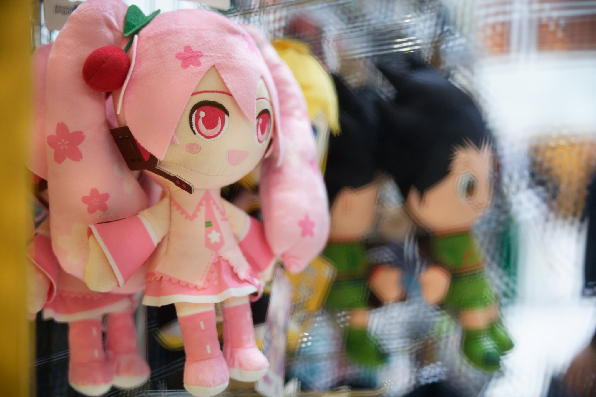 DSC08896_DxO
