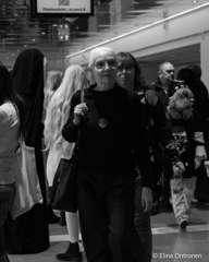 DSC02352