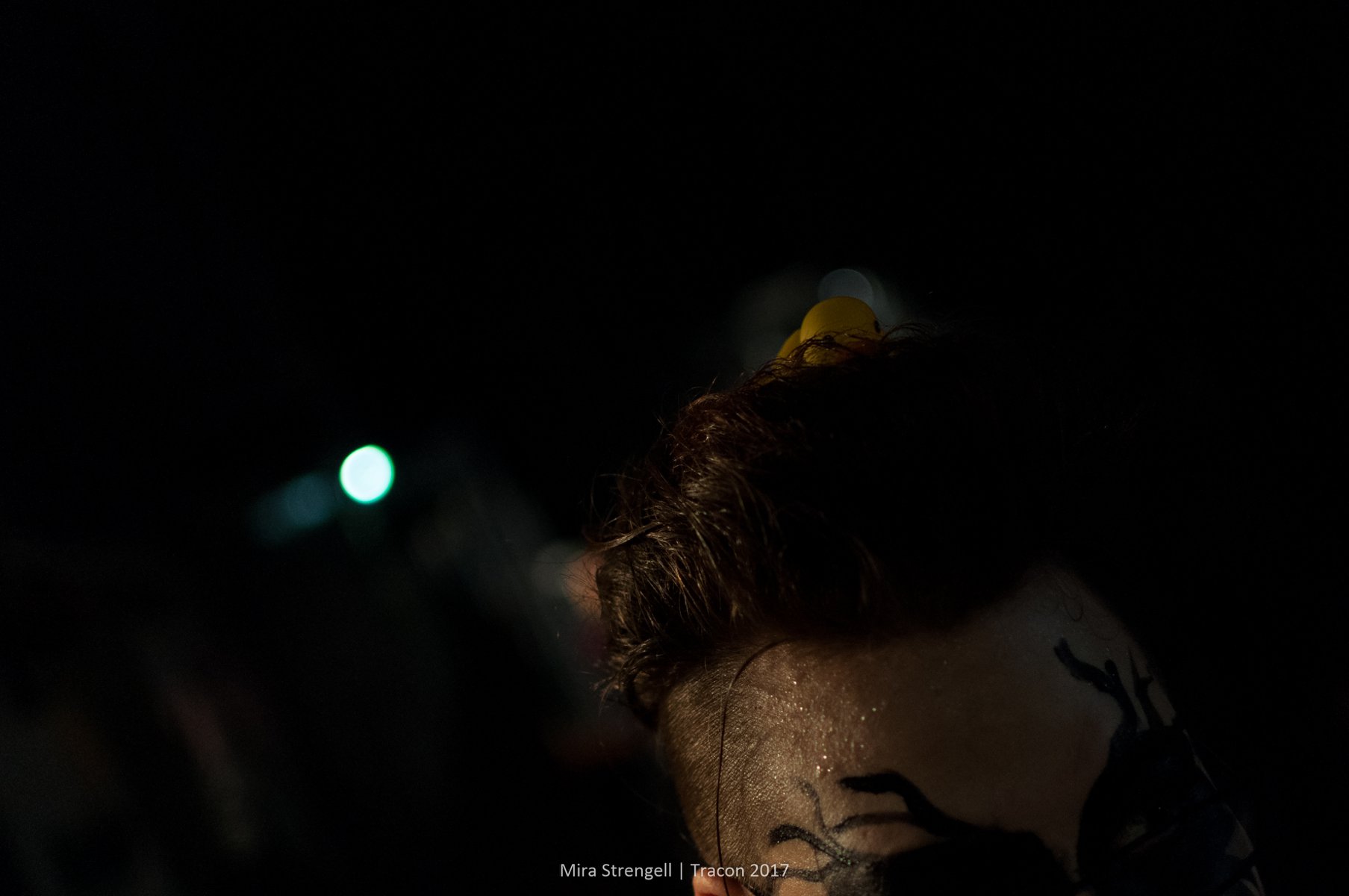 DSC_7001