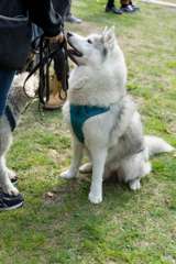 DSC01776