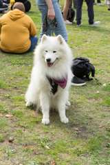 DSC01798