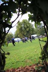 IMG_5147 (2)