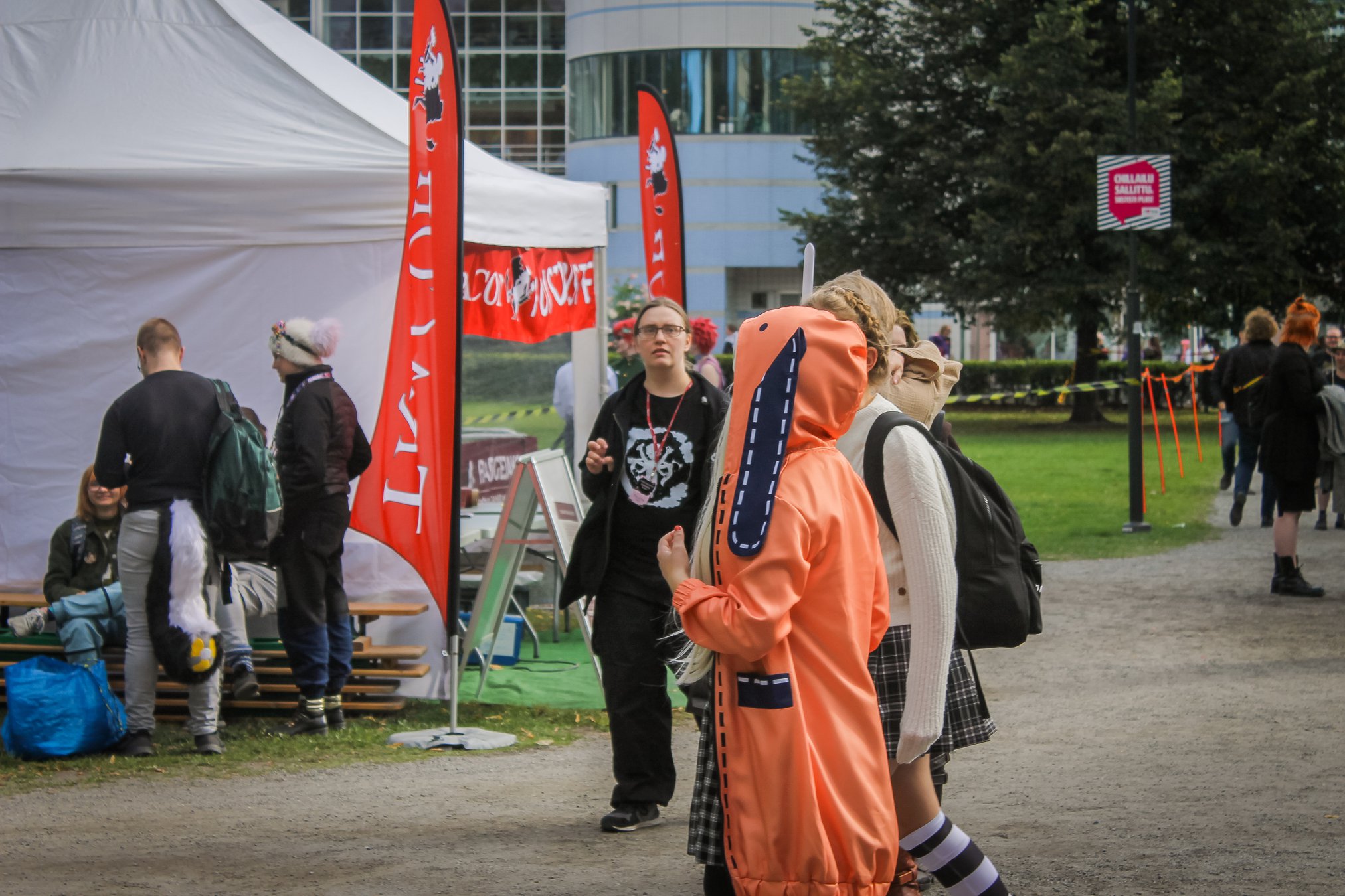 IMG_6229