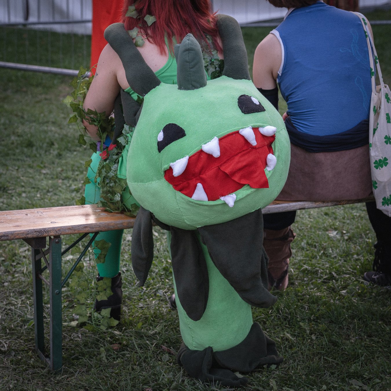 DSC07288