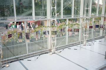 DSC02934_DxO