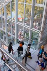 _MG_0390