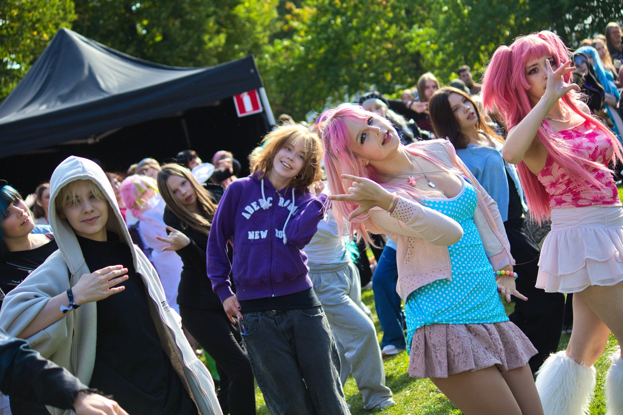 IMG_4231