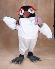 Desucon 2010