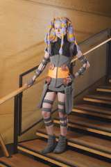 Desucon Frostbite 2014